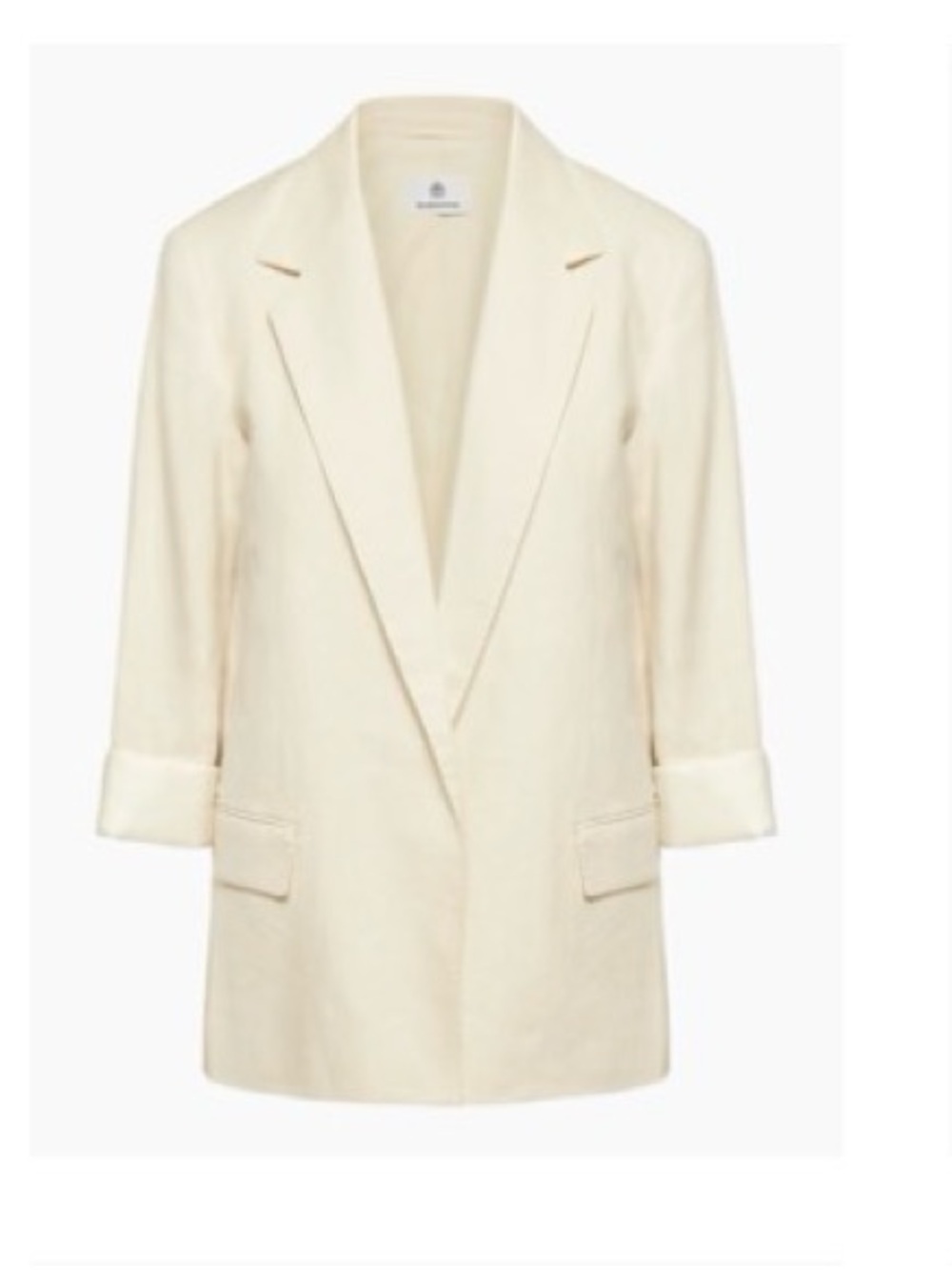 Aritzia Babaton Oversized Blazer